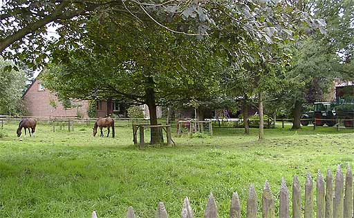 Obstwiese in Hattropholsen am 19.09.2001