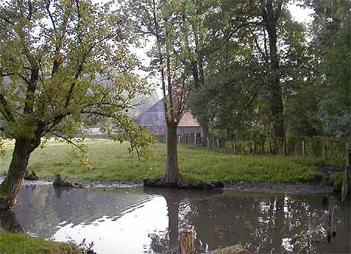 Hofteich in Kutmecke am 26.08.2001