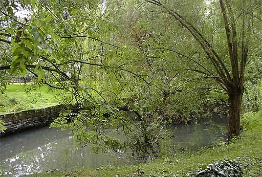 Dorfteich in Meckingsen am 19.09.2001