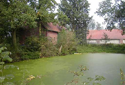 Hofteich und Stallungen Plange am 26.09.2001