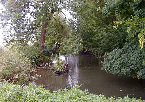 Robach  in Thningsen am 24.09.2001