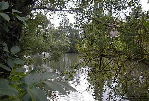 Groer Hofteich in Wehringsen am 24.09.2001