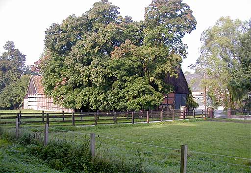 Sommer in Willingheppen am 26.08.2001